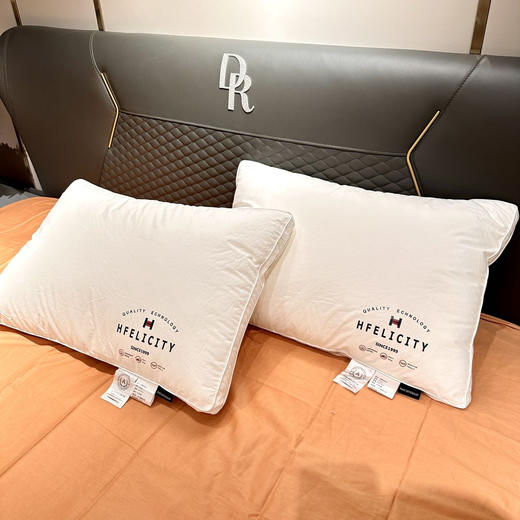 罗莱旗下petit DINOSAUR轻柔羽丝枕 01.25 商品图3