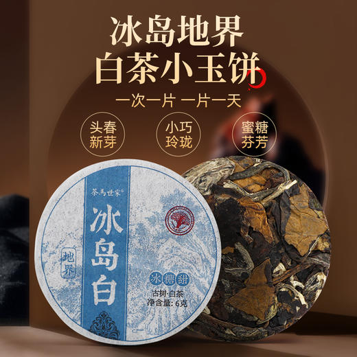 【冰岛古树】茶马世家云南古树冰岛小玉饼紧压生熟普洱茶饼茶84g 商品图7