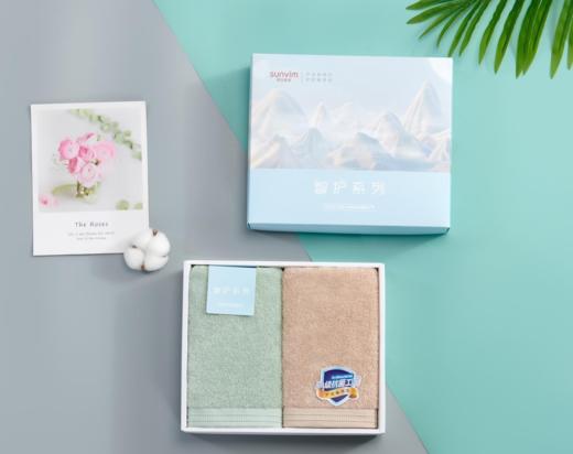 【团购展示】孚日家纺艾美利亚（毛巾双条装）SUN22603-B 商品图0