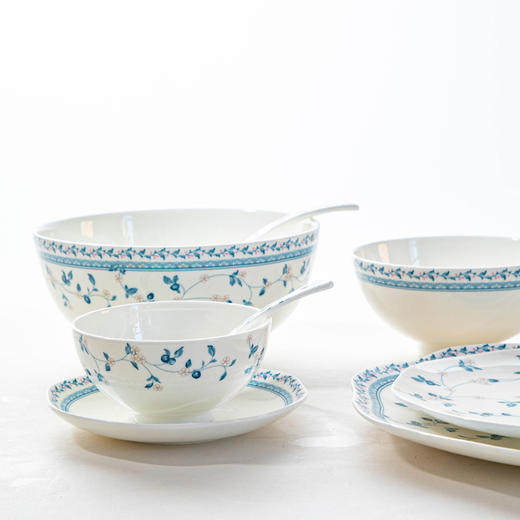 【餐具清仓特惠5折】雷澳娜/REONE釉中骨瓷碗碟套装家用餐具 繁花似锦8人用36头中餐具 商品图5