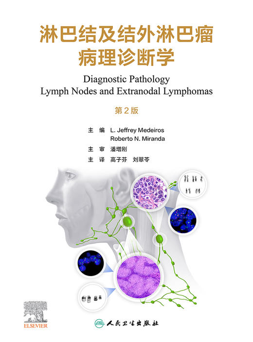 淋巴结及结外淋巴瘤病理诊断学 2023年4月参考书 9787117343596 商品图1