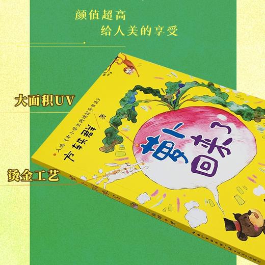 萝卜回来了 方轶群 著 课外读物 商品图3