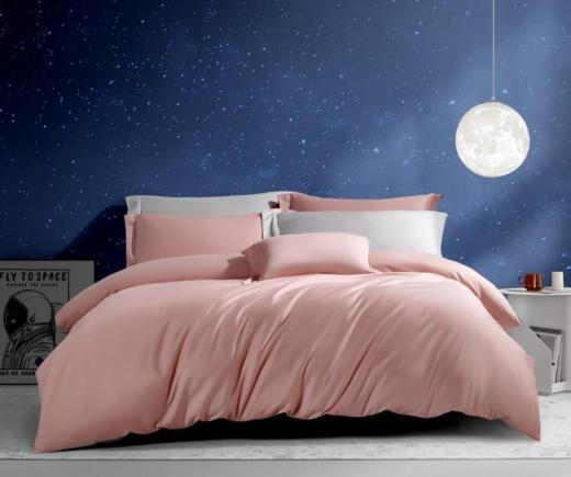 【团购展示】孚日家纺黎色玫瑰DSF2-001 商品图0