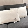 罗莱旗下petit DINOSAUR轻柔羽丝枕 01.25 商品缩略图1