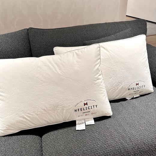 罗莱旗下petit DINOSAUR轻柔羽丝枕 01.25 商品图1