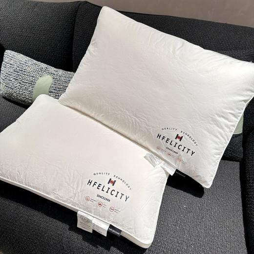 罗莱旗下petit DINOSAUR轻柔羽丝枕 01.25 商品图0