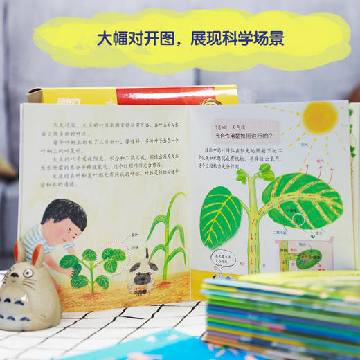 启明星科学馆-高度匹配小学科学课主题（科学小达人） 商品图5