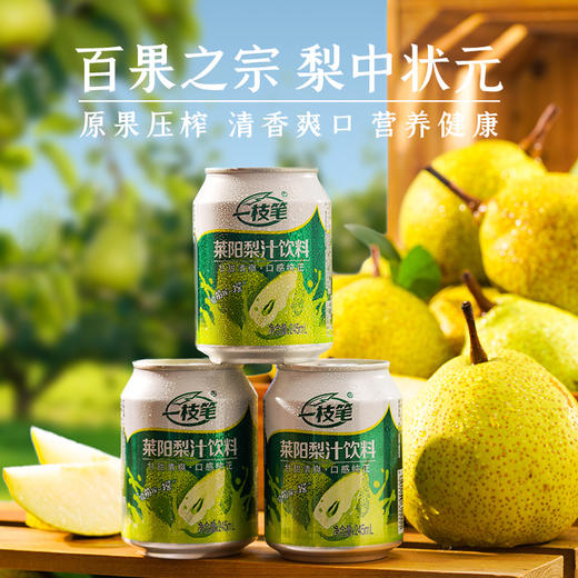 自营（月亮湾）- 莱阳梨汁245ml/罐 山东莱阳原果压榨饮品 浓缩果汁 商品图0