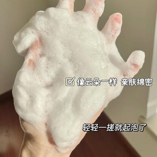 SK2洁面中样20g洁面氨基酸洗面奶敏感肌可用 商品图1