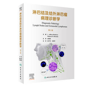 淋巴结及结外淋巴瘤病理诊断学 2023年4月参考书 9787117343596