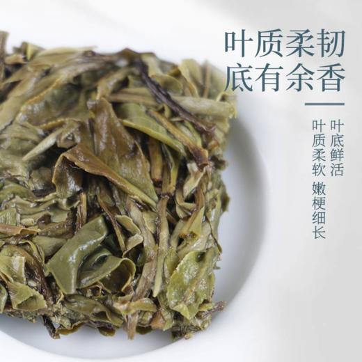 茶马世家白牡丹福鼎白茶芯片高山紧压茶叶礼盒装150g 商品图4