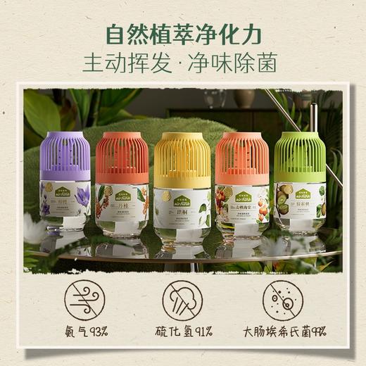三瓶72元！【3挡浓淡调节 多种香味】air funk净味清新香氛350ml 空气清新剂芳香水 卧室卫生间厕所除臭 香氛持久 商品图2