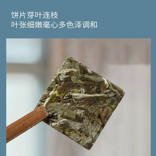 茶马世家白牡丹福鼎白茶芯片高山紧压茶叶礼盒装150g 商品图1