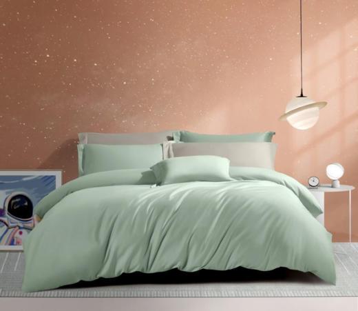 【团购展示】孚日家纺薄雾雪松DSF2-003 商品图0