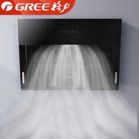 GREE格力 侧吸式抽油烟机CXW-238-C6D31  19立方大吸力 一级能效 