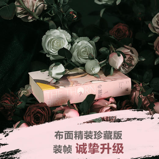 荆棘鸟 商品图2