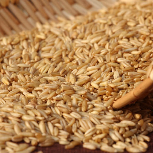 半亩川（BANMUCHUAN） 良田谷韵·丰收 1200g 商品图1