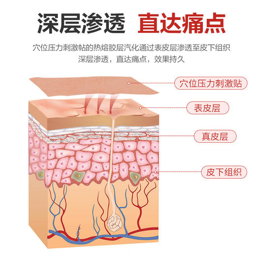 诺凡穴位压力刺激贴 商品图2
