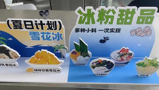 （23年网络爆款）后亭春 椰乳雪花冰  800g/包 1:4调对  绵绵冰、沙冰 商品图2