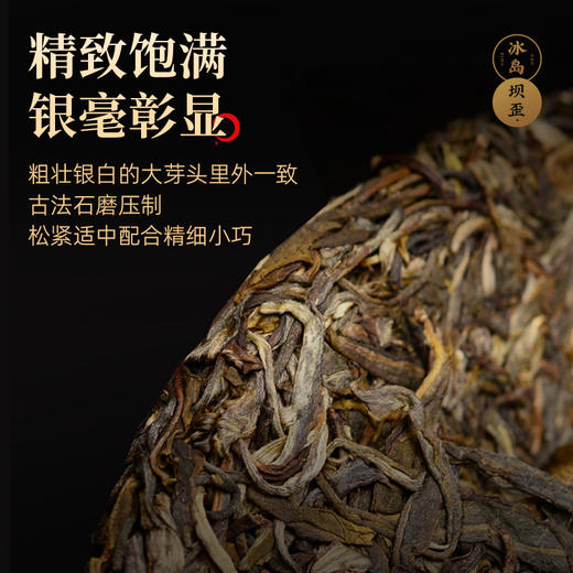 【冰岛古树】茶马世家云南古树冰岛小玉饼紧压生熟普洱茶饼茶84g 商品图3