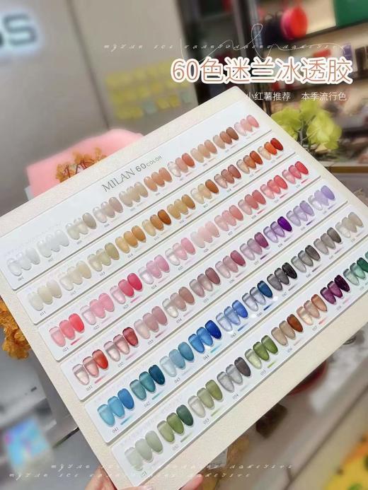 【秒杀价】迷兰60色透色 商品图2