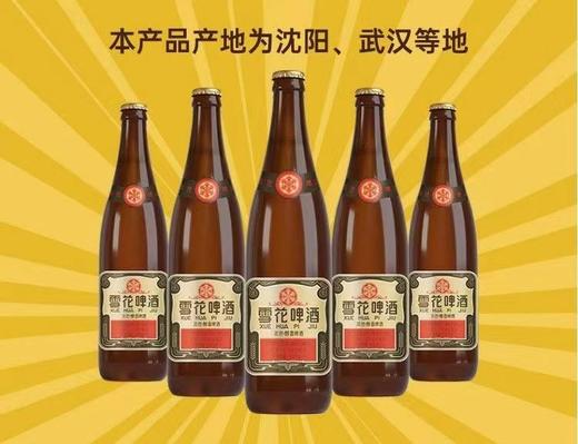 经典雪花啤酒640ml1*12【FY】 商品图11