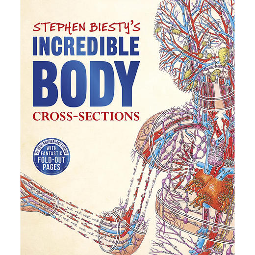 不可思议的大剖面：人体的秘密 英文原版 DK Stephen Biesty's Incredible Body Cross-Sections 商品图0