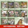 【已降158元】文化传承《古典名著三国演义儿童绘本（10本塑封）》 商品缩略图2