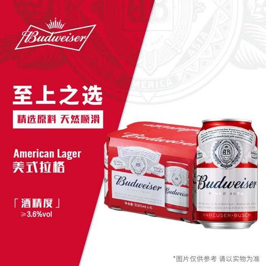 百威 啤酒 330ml*6听/组 商品图1