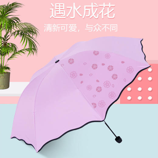 现货秒发【“雨”众不同 遇水开花！】8骨三折防紫外线叠伞，四季相随 两用晴雨伞折叠雨伞！黑胶防晒遮阳伞女士礼品，随身携带方便，迷你超轻便！ 商品图0