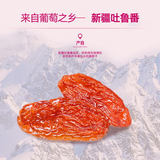 疆果果 玫瑰香无籽葡萄干 260g 新疆 商品图0