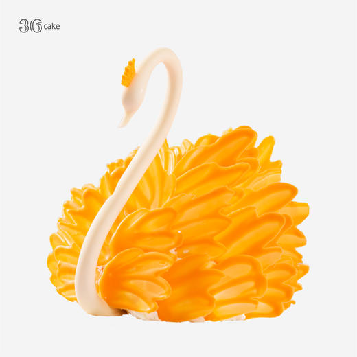 天鹅之梦 ∙ 明橙，可选1.5/磅 商品图0