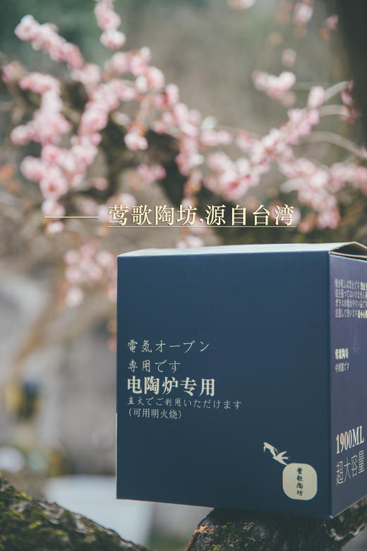 电陶炉玻璃烧水壶煮茶壶单壶耐高温大号加厚大容量煮茶 商品图6