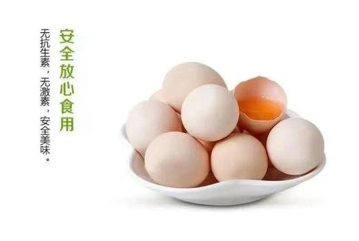 【专供】无抗谷物蛋（净重3.2斤±0.1斤）1托 商品图2