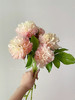 路易斯选择高端芍药花5支 商品缩略图5
