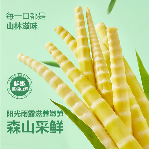 【限时一口价17.9元】】整根野山笋(山椒味)35g*8 商品图3