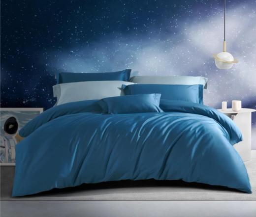 【团购展示】孚日家纺咬鹃森林DSF2-002 商品图0