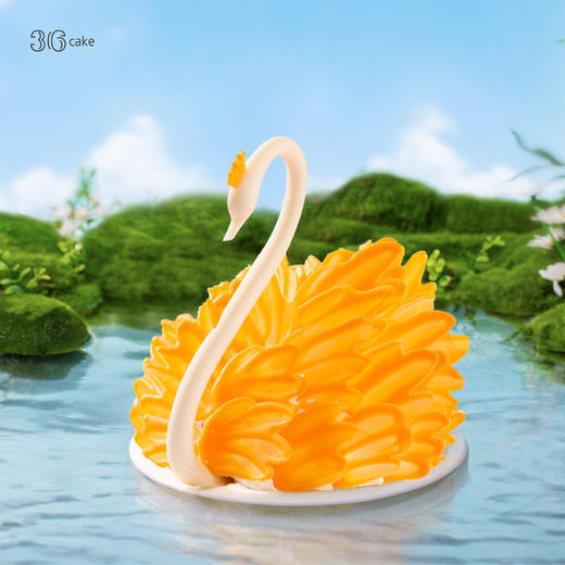 天鹅之梦 ∙ 明橙，可选1.5/磅 商品图1