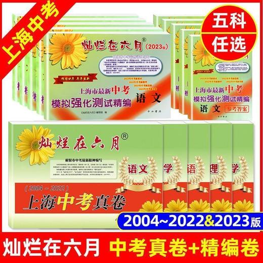 2023灿烂在六月语文数学英语物理化学上海中高考试卷+答案上海市新中考模拟强化测试精编/真卷 商品图0