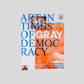 灰色民主时代的艺术/Art in Times of Gray Democracy