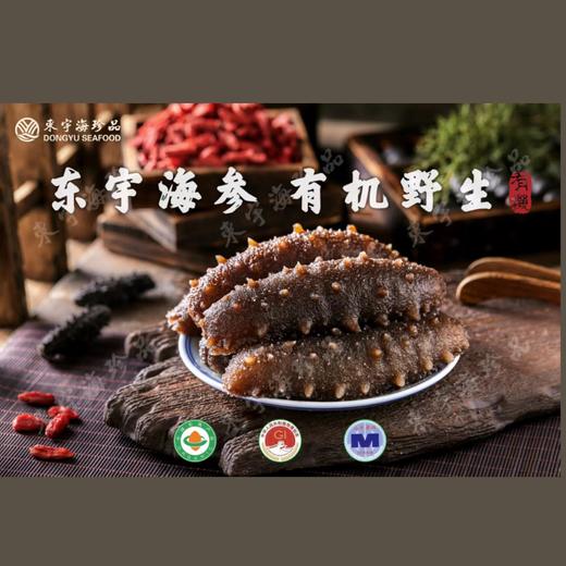 东宇 有机海参 即食海参500g （约5-12头） 商品图3