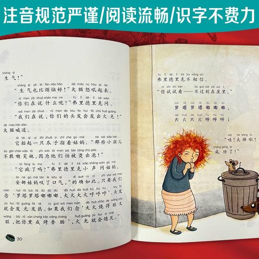 国际大奖小说·注音版（20册）礼盒装 一座世界儿童文学宝库 送给孩子的第一份入学礼物 商品图7