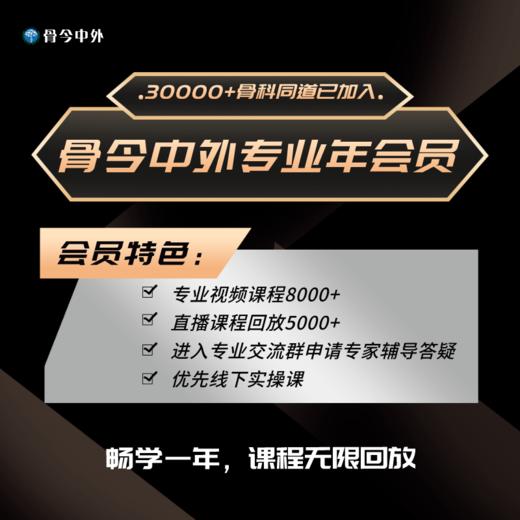 骨今中外专业年会员 商品图0