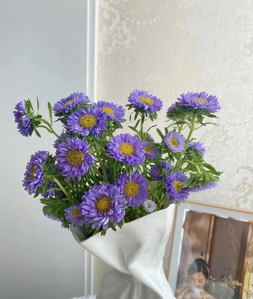 翠菊4支（拼团） 商品图4