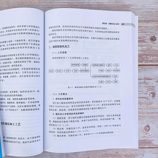 乳品加工技术 商品图5