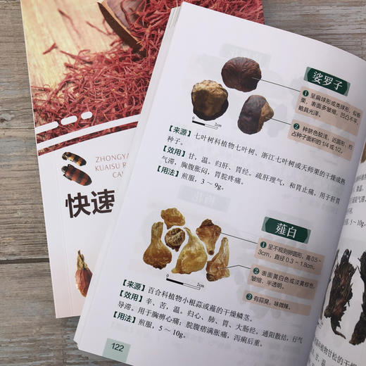 《中药学》快速认药彩色图谱 商品图9