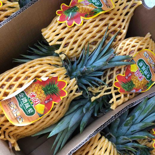 海南金钻凤梨🍍浓郁的果香、饱满的果肉、脆嫩爆汁的口感。是多少吃货们心心念念的那一口「甜蜜😋 商品图10
