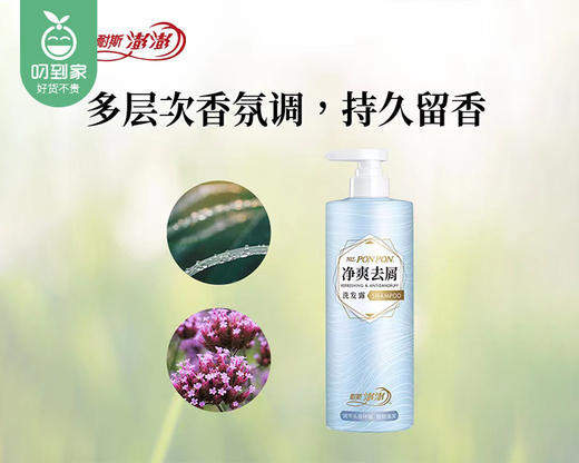 【预售-4月8日配送】耐斯澎澎净爽去屑洗发露/1瓶（760g） 商品图1