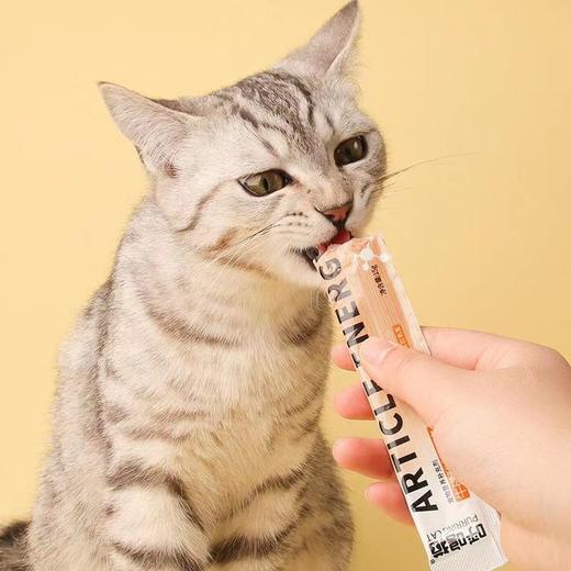 【功能营养配方】呼噜猫猫零食猫条互动补水猫泥拌粮肉酱单支15g 商品图4