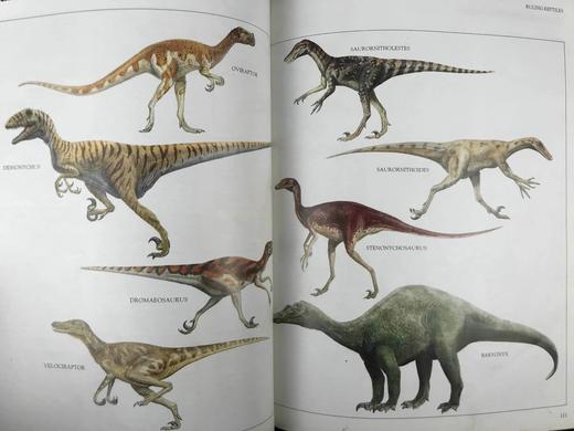 恐龙与史前动物图解百科全书 数百幅彩色插图 精装大16开 商品图12